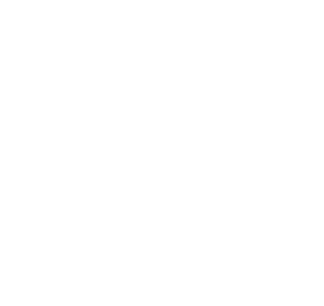 Zénith de lille